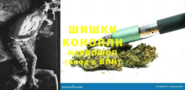 шишки Алексин