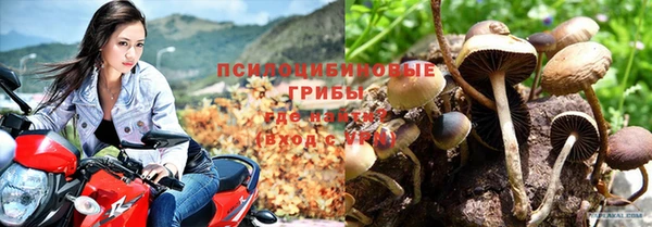 эйфоретик Абаза