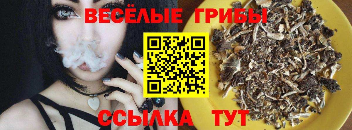 Псилоцибиновые грибы прущие грибы  Псилоцибиновые грибы ЛСД  Смоленск  Вход с VPN 