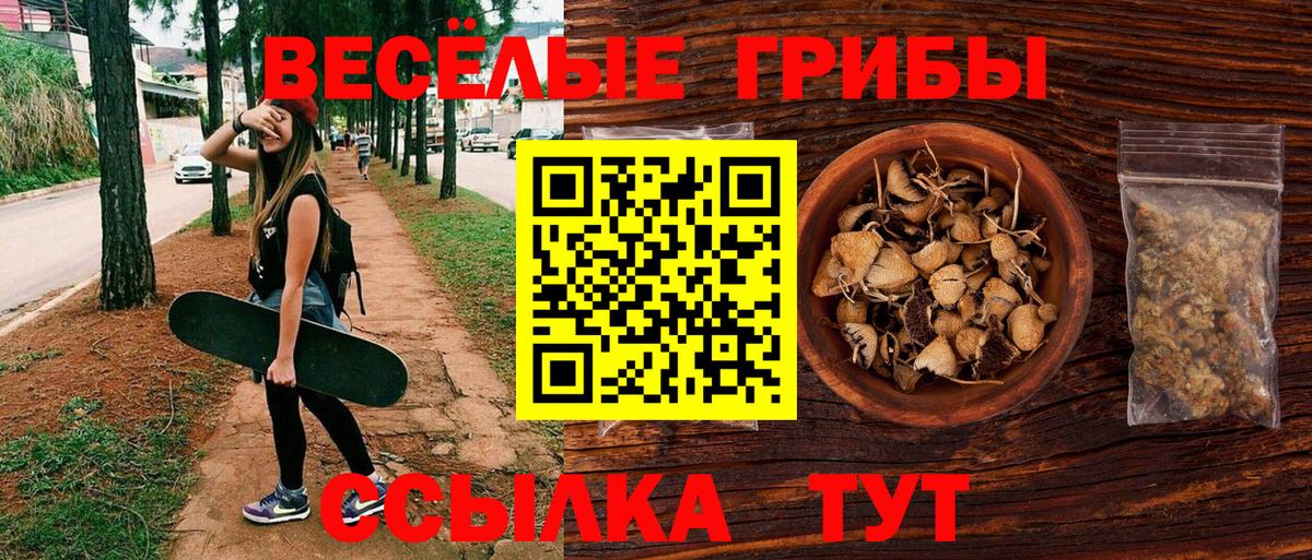 Псилоцибиновые грибы Psilocybe Смоленск